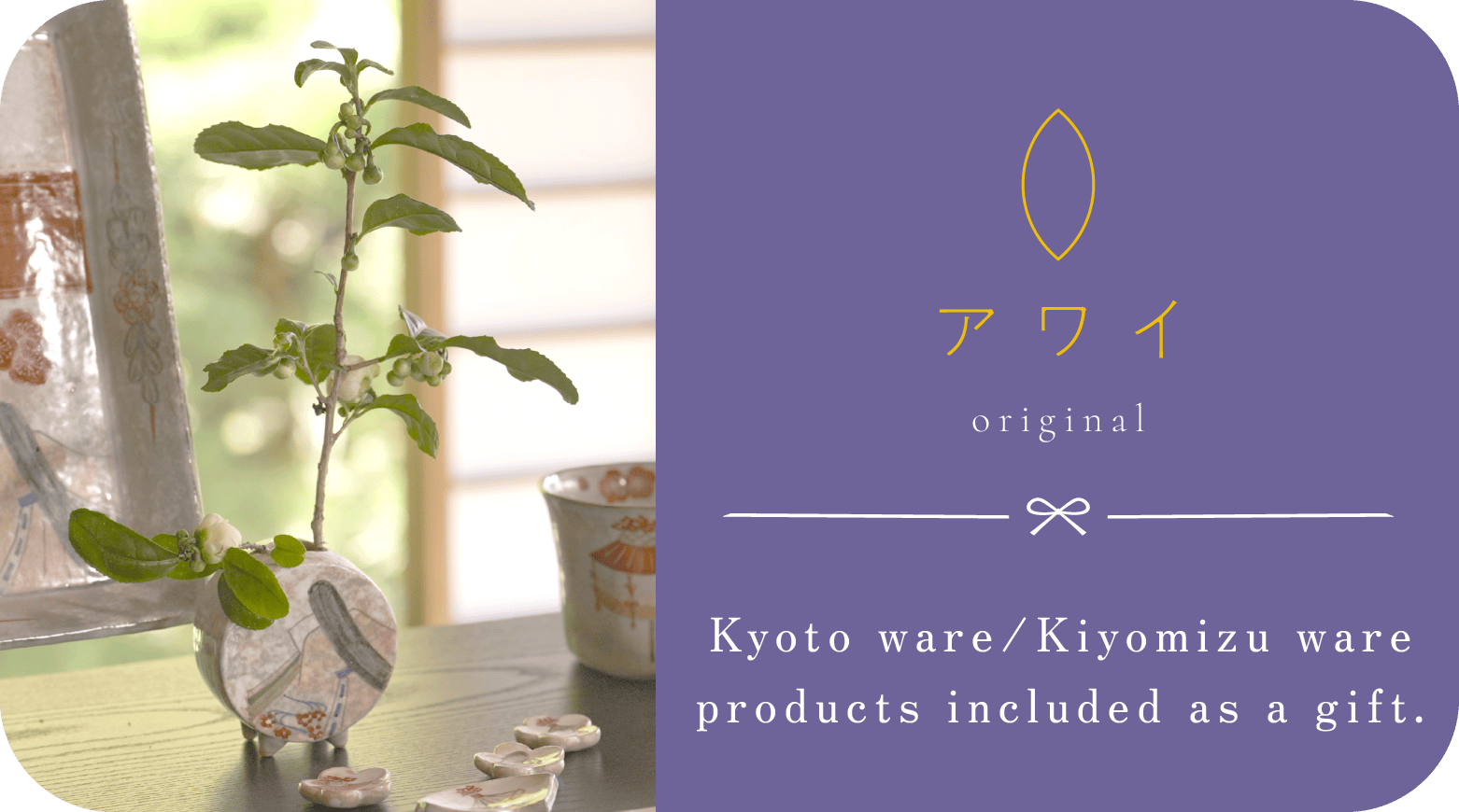 隨⼼院の奥まで楽しめるとっておきのツアー ツアー概要