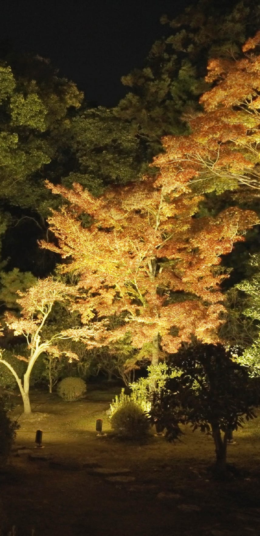 隨⼼院の奥まで楽しめるとっておきのツアー ツアー内容